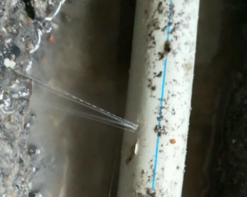 龙湾卫生间测漏水多少钱